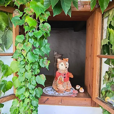 Chaloupka U Mostu Sv Jana V Centru Vodnan Homestay szállás Strakonice
